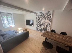 Charmant grand Appartement